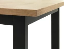 Table AGERSKOV 90x200 Chêne/noir -Meubles Reduction Magasin 113813