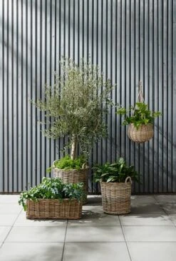 Panier SANSEBIE Ø40/50 2pcs/lot 7 Panier SANSEBIE Ø40/50 2pcs/lot -Meubles Reduction Magasin 149781