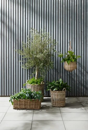 Panier SANSEBIE Ø40/50 2pcs/lot 5 Panier SANSEBIE Ø40/50 2pcs/lot – Image 3