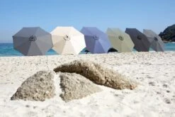 Parasol AGGER Ø300 Olive -Meubles Reduction Magasin 179495 1