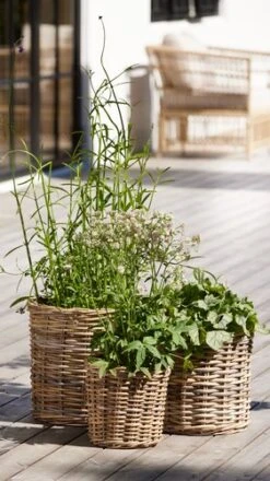 Panier SANSEBIE Ø25/33/40 3pcs/lot 7 Panier SANSEBIE Ø25/33/40 3pcs/lot -Meubles Reduction Magasin 194469