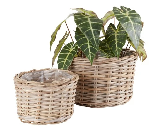 Panier SANSEBIE Ø27/35 Naturel 2pcs/lot 3 Panier SANSEBIE Ø27/35 Naturel 2pcs/lot